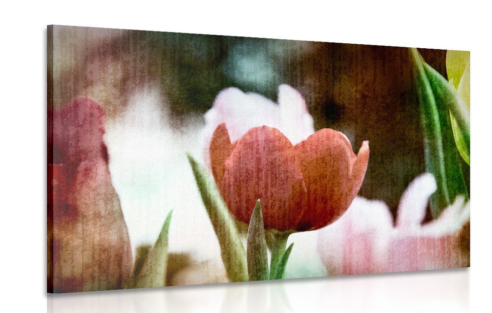 Obraz lúka tulipánov v retro štýle