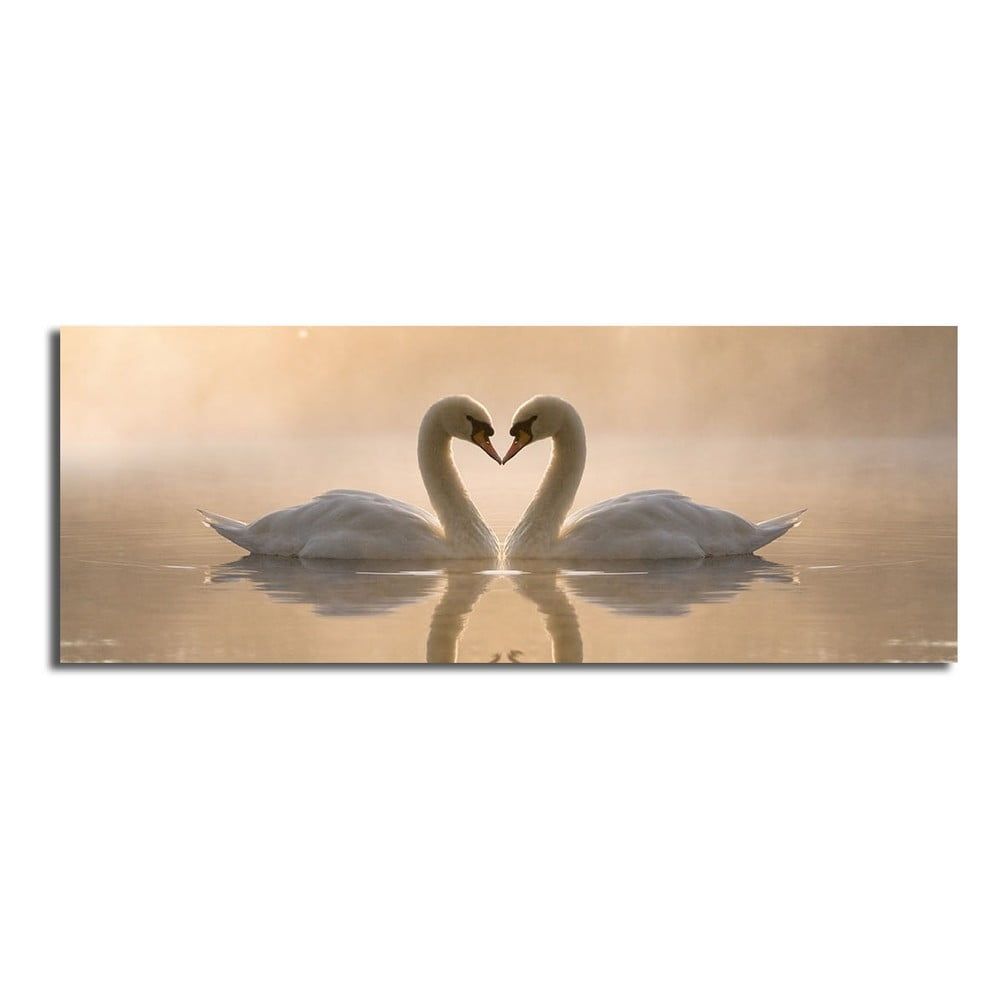 Obraz na plátne Swan Love, 90 × 30 cm