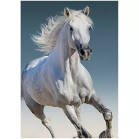 BrandMac · Fleecová deka Biely kôň v cvale - 100 x 140 cm