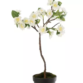 Dekorácie umelý biely kvitnúce stromček - 24-24 * 52 cm