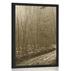 Plagát sépiová cestička do lesa - 40x60 black