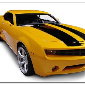 Obraz Bumblebee zs29391