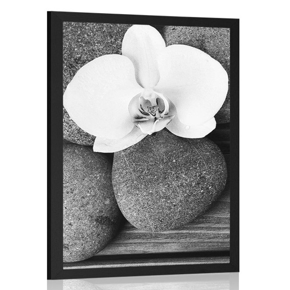 Plagát wellness kamene a orchidea na drevenom pozadí v čiernobielom prevedení - 30x45 silver