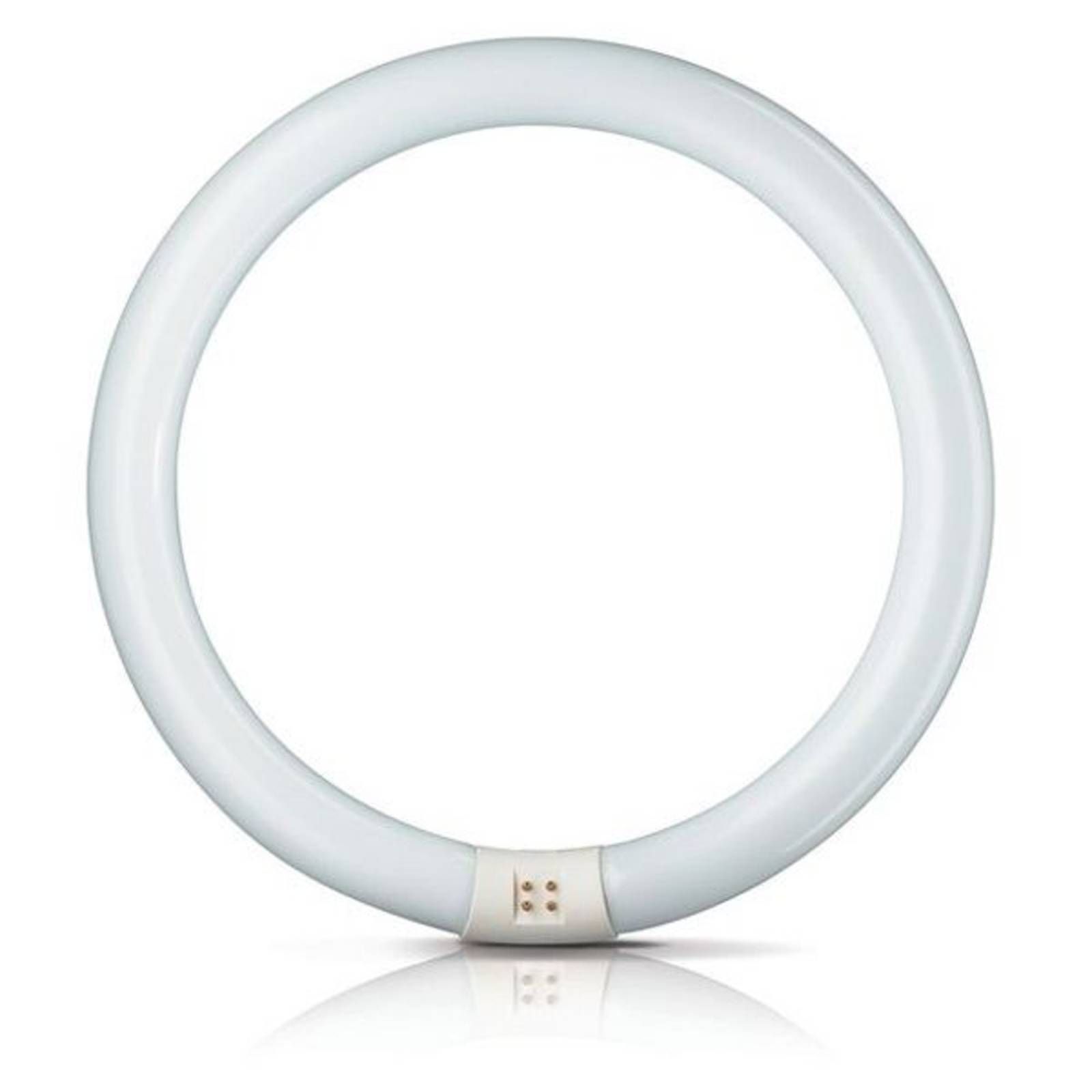 Philips G10q 40W 840 žiarivkový prst. Master Circular TL-E, G10q, Energialuokka: G