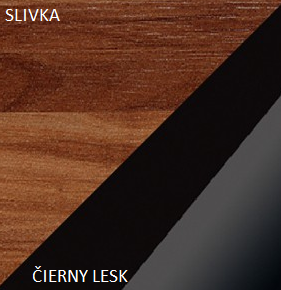 WIP Skriňa MAX 05 Farba: Slivka / čierny lesk