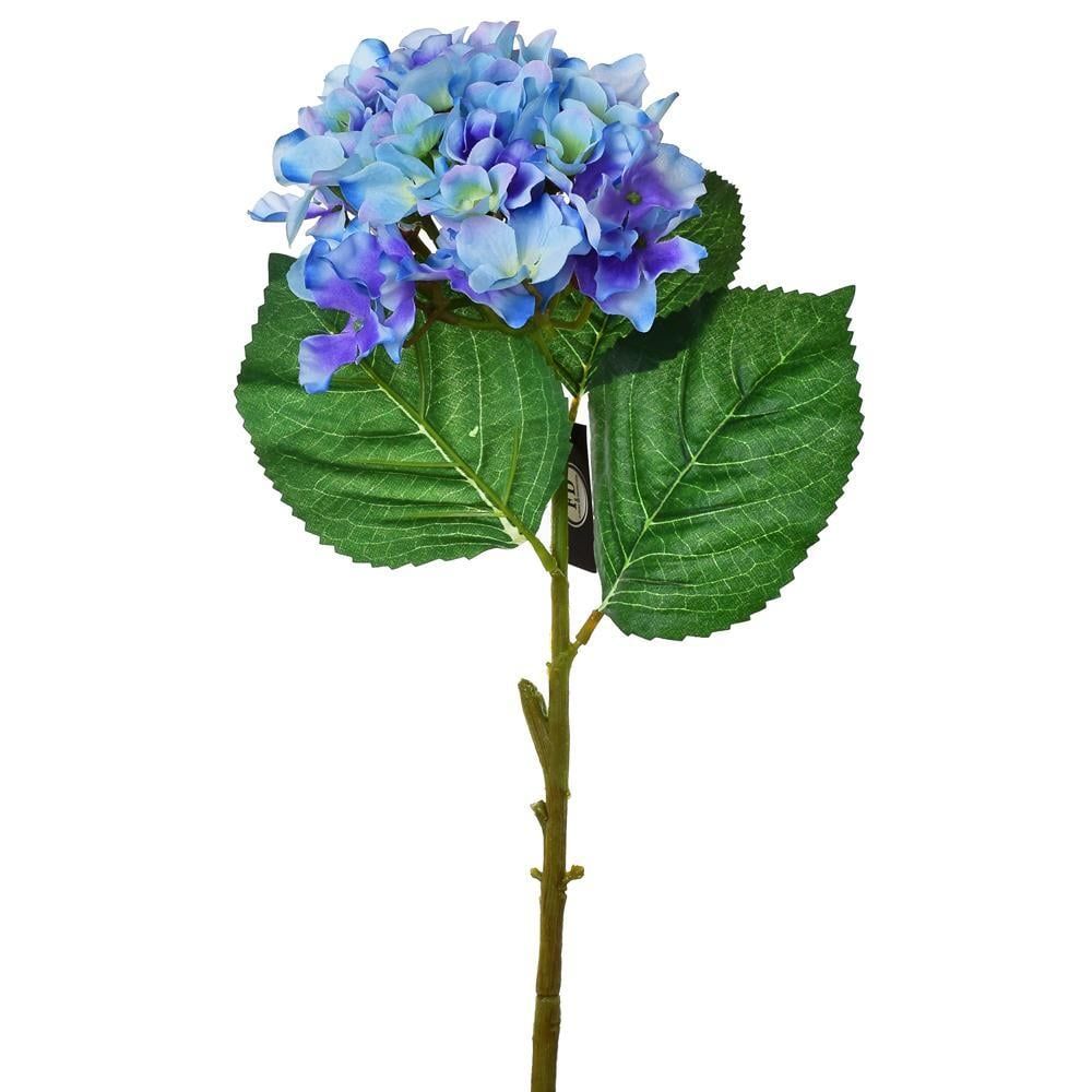 Hortenzia modrá kus 50cm 1100167