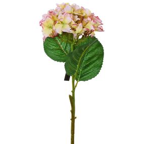 Hortenzia bledo ružová kus 50cm 1100165