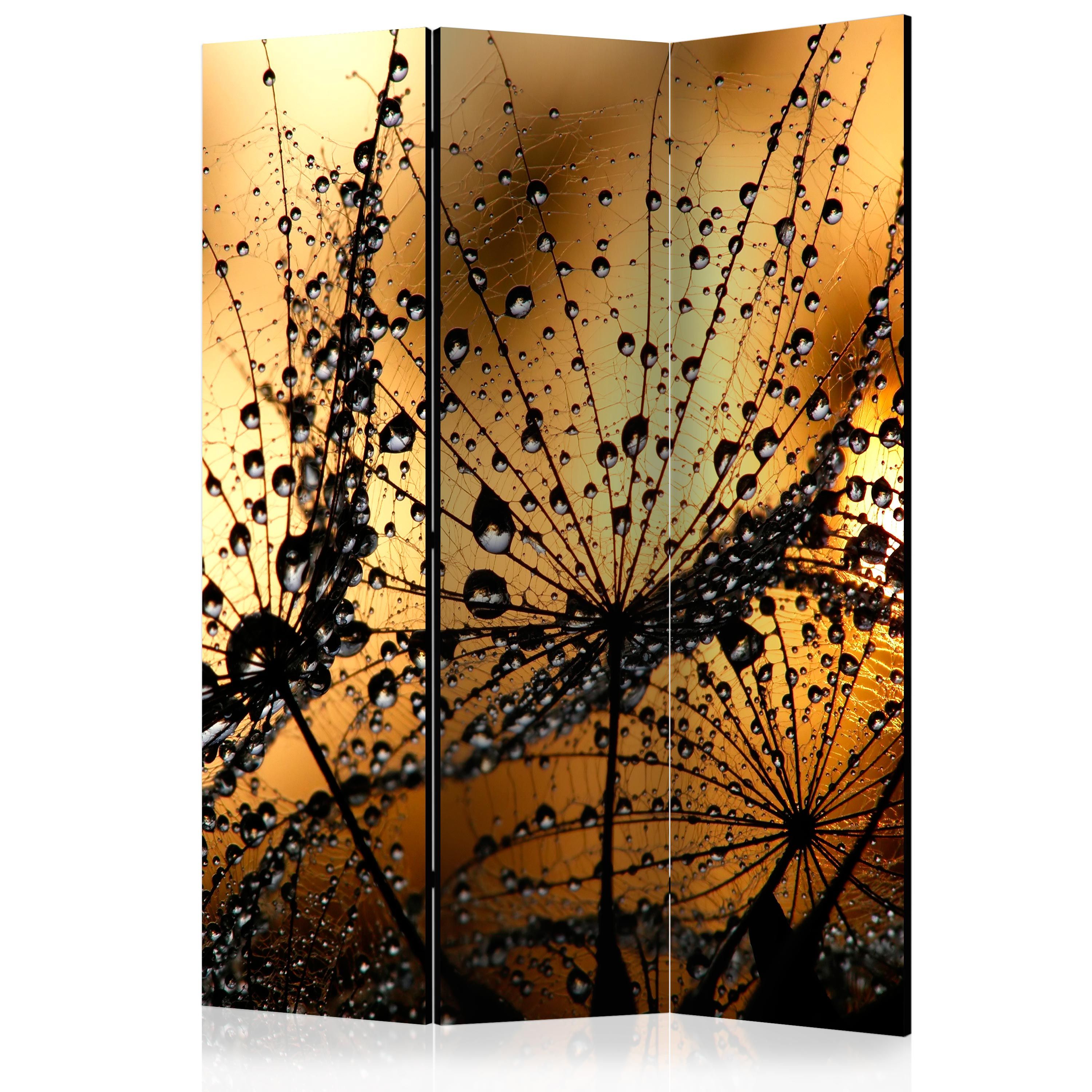 Artgeist Paraván - Dandelions in the Rain [Room Dividers]