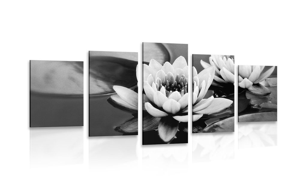 5-dielny obraz lotosový kvet v jazere v čiernobielom prevedení