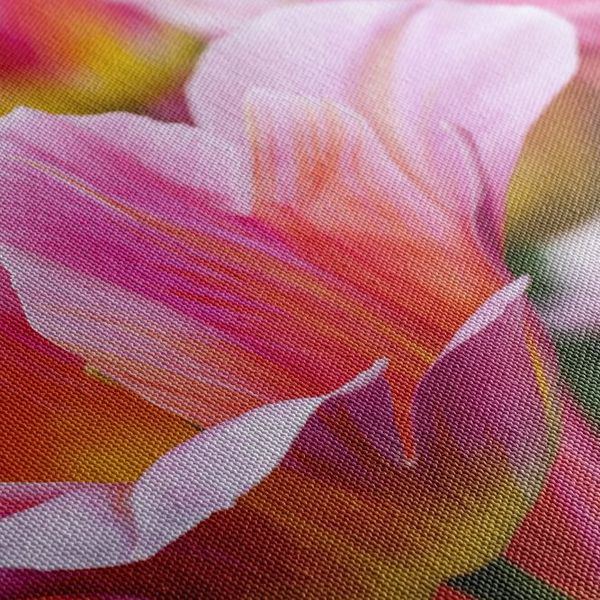 Obraz lúka ružových tulipánov - 90x60