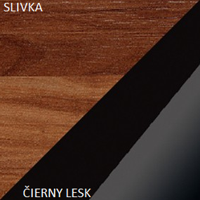 WIP Skriňa MAX 05 Farba: Slivka / čierny lesk