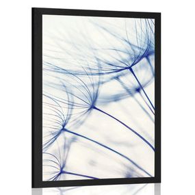 Plagát púpava v jedinečnom prevedení - 40x60 silver