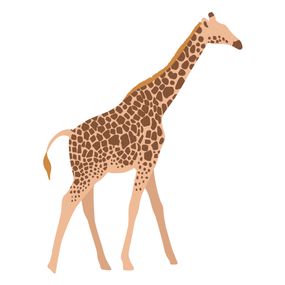 Nálepka na stenu - Žirafa 80x100 cm