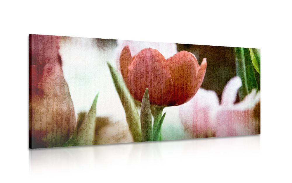 Obraz červený retro tulipán