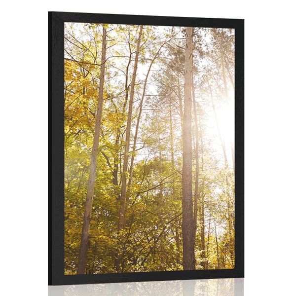 Plagát les v jesenných farbách - 20x30 white