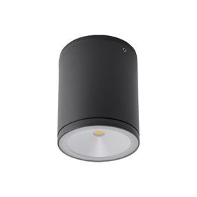 REDO 9598 ETA stropné exteriérové svietidlo LED 1 x 6W 580lm IP54 3000K