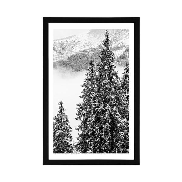 Plagát s paspartou zasnežené borovicové stromy v čiernobielom prevedení - 60x90 white