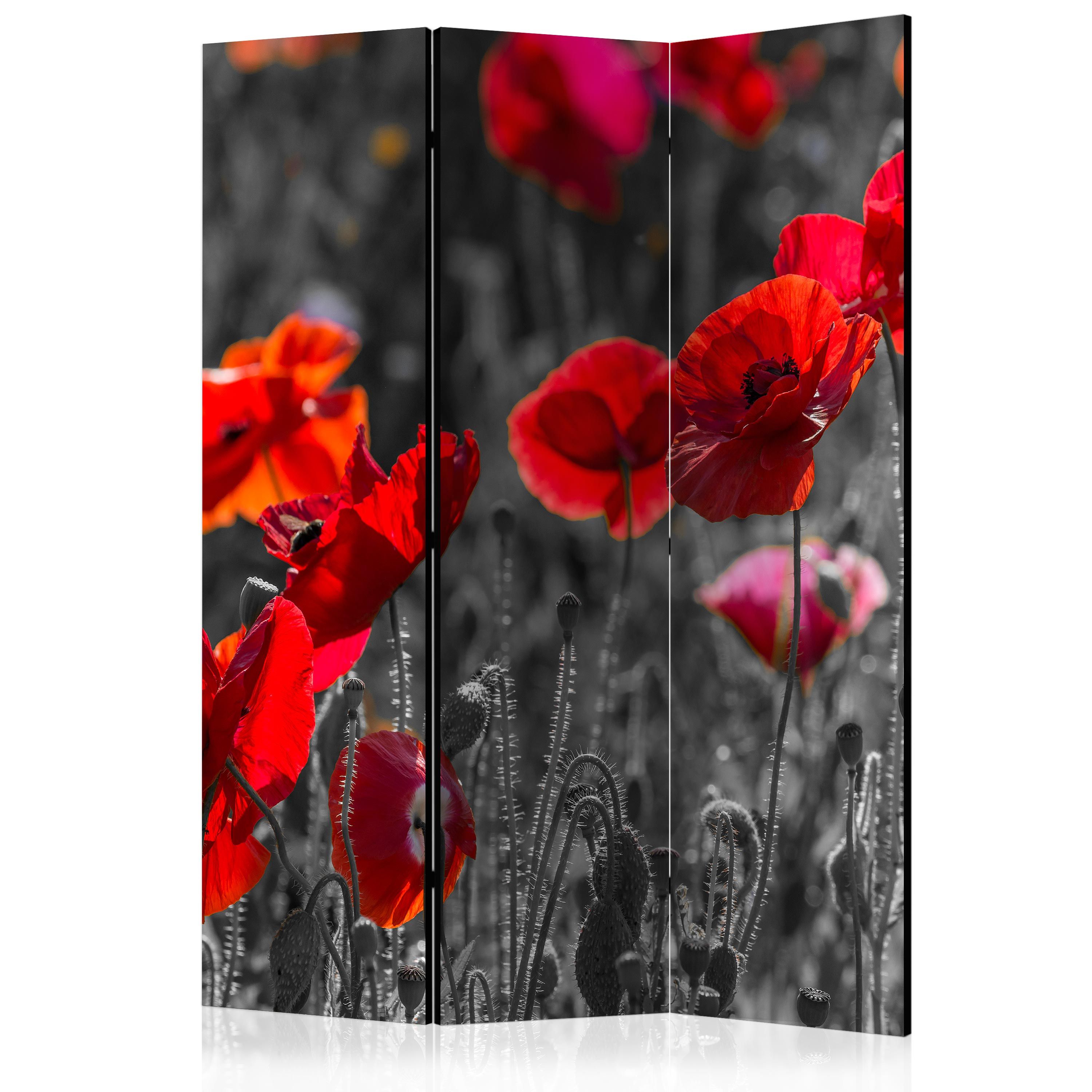 Artgeist Paraván - Red Poppies [Room Dividers]