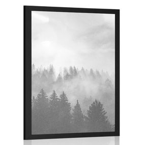 Plagát hmla nad lesom v čiernobielom prevedení - 60x90 black