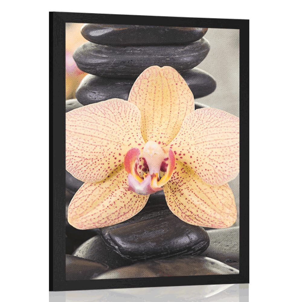 Plagát žltá orchidea a Zen kamene - 60x90 silver