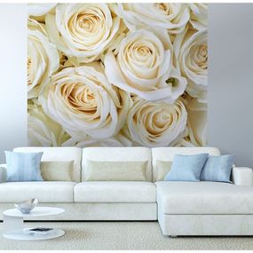 MS-3-0137 Vliesová obrazová fototapeta White Roses, veľkosť 225 x 250 cm