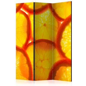 Artgeist Paraván - Orange slices [Room Dividers]