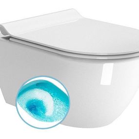 Pura 881611 WC závesné Swirlflush, 50x36 cm