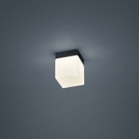 Helestra Keto stropné LED svetlo, kocka, čierna, Kúpeľňa, oceľ, satinované opálové sklo, 6W, P: 10 cm, L: 10 cm, K: 12.5cm