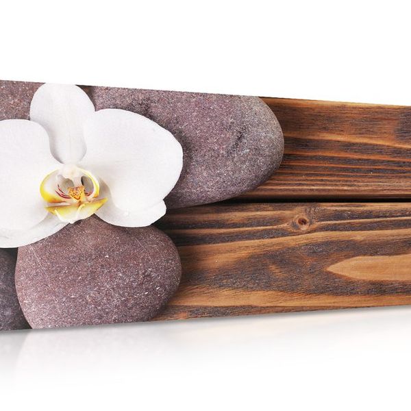 Obraz wellness kamene a orchidea na drevenom pozadí - 120x60