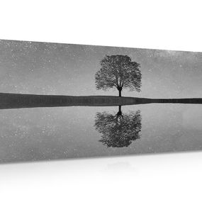 Obraz hviezdna obloha nad osamelým stromom v čiernobielom prevedení - 120x60