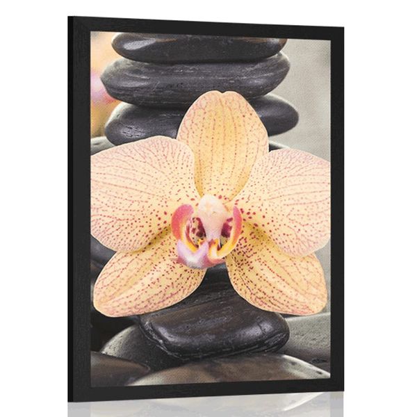 Plagát žltá orchidea a Zen kamene - 30x45 white