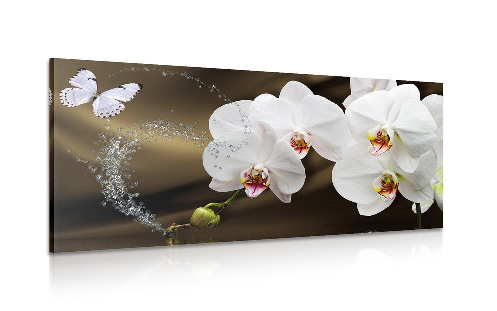 Obraz orchidea a motýľ - 120x60