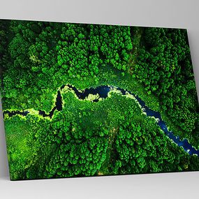 Obraz Dažďový prales zs1220