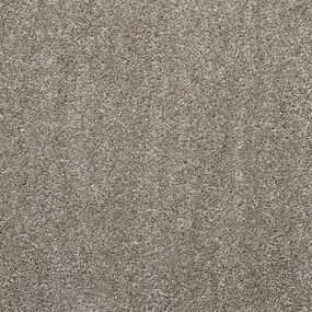 Metrážny koberec Wellington 70 400 cm