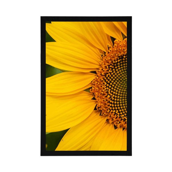 Plagát žltá slnečnica - 40x60 black