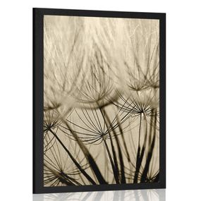 Plagát púpavové semená v sépiovom prevedení - 40x60 black