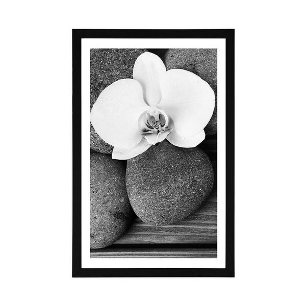 Plagát s paspartou wellness kamene a orchidea na drevenom pozadí v čiernobielom prevedení - 60x90 white