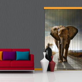 FCP L 6507 AG Design textilný foto záves obrazový Elephant - Slon FCPL 6507, veľkosť 140 x 245 cm