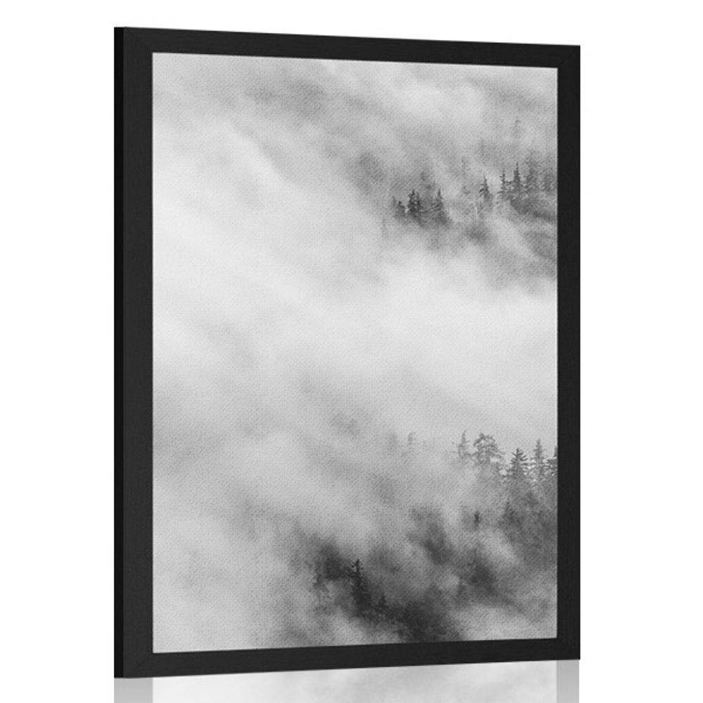 Plagát čiernobiely hmlistý les - 30x45 black