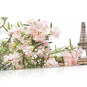 Obraz Eiffelova veža a ružové kvety - 100x50