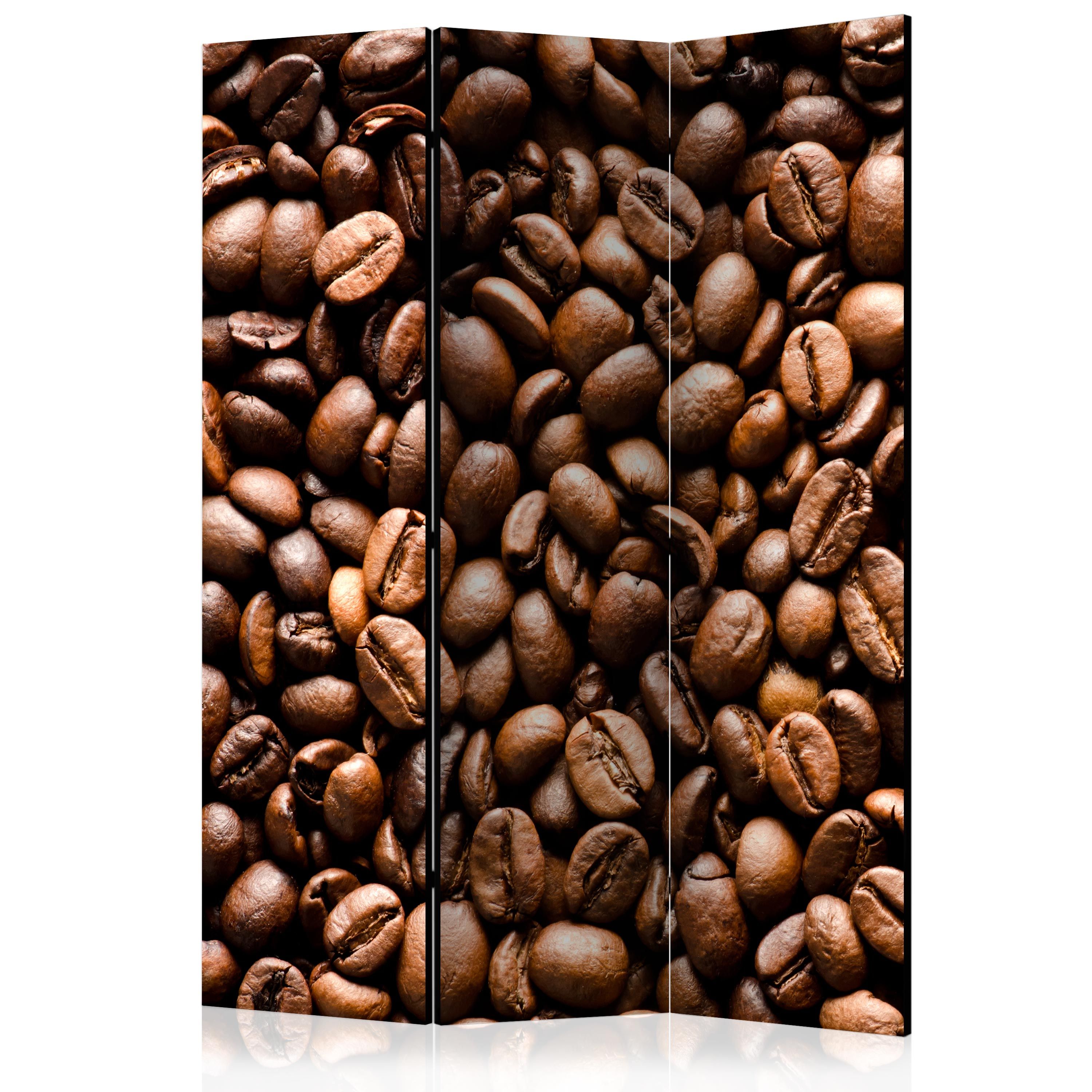 Artgeist Paraván - Roasted coffee beans [Room Dividers]