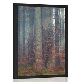 Plagát tajomstvo lesa - 40x60 black