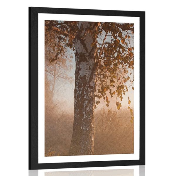 Plagát s paspartou hmlistý jesenný les - 30x45 white