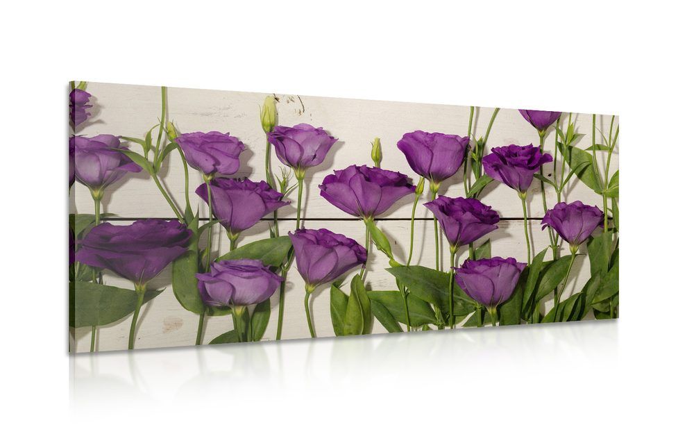 Obraz nádherné fialové kvety - 120x60