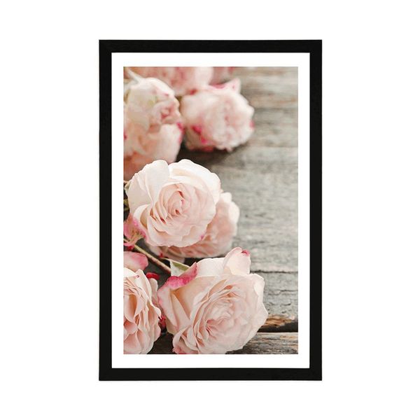 Plagát s paspartou romantické ruže - 40x60 white