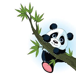 Detské tapety - Panda 5232 - samolepiaca