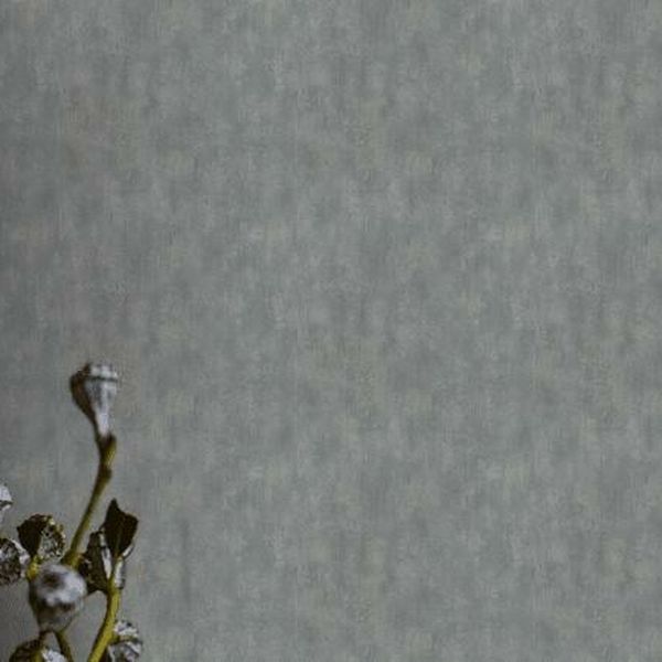 31035 Marburg luxusná umývateľná vliesová tapeta Platinum 2022, veľkosť 10,05 m x 70 cm