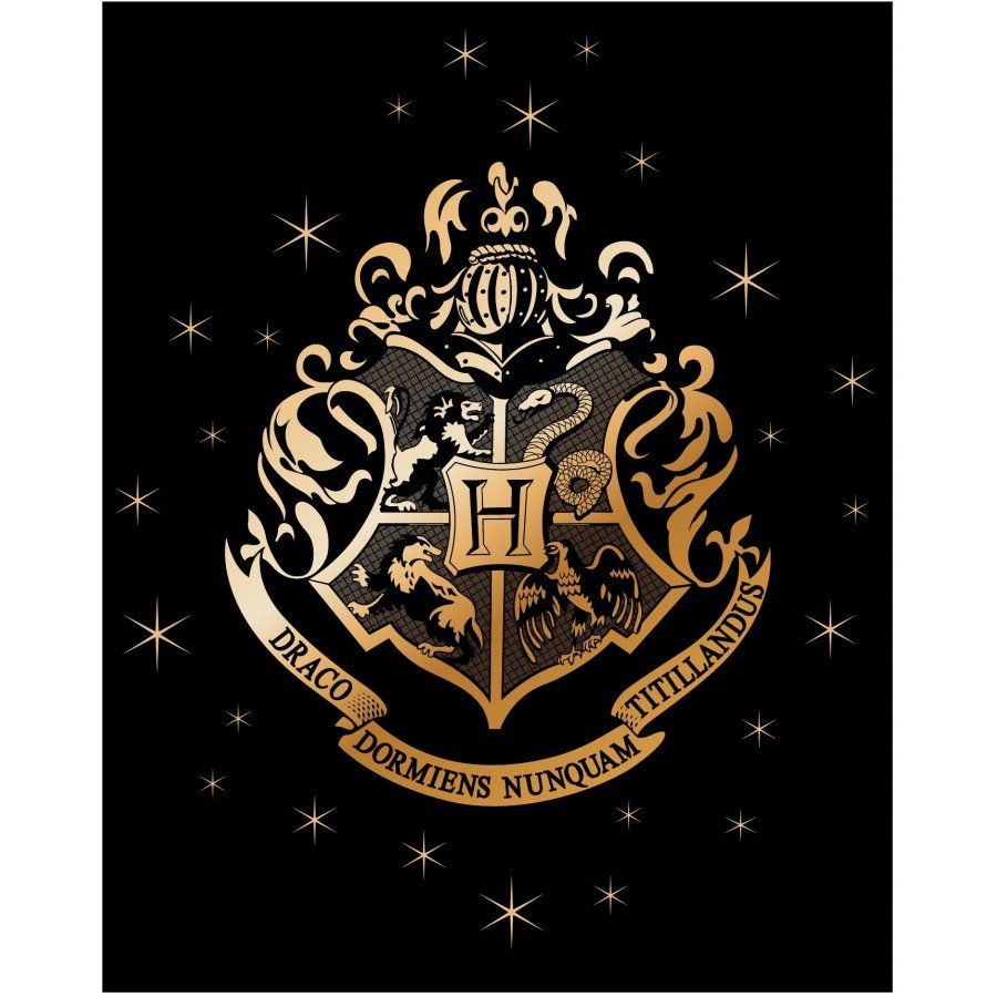 E plus M · Fleecová deka Harry Potter so zlatým erbom Rokfortu - nano coral 220 gr./m² - 120 x 150 cm