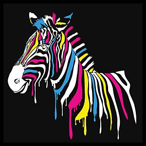 Pop Art Fototapety - Zebra 4536 - samolepiaca