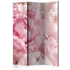 Artgeist Paraván - Sweet Peonies [Room Dividers]